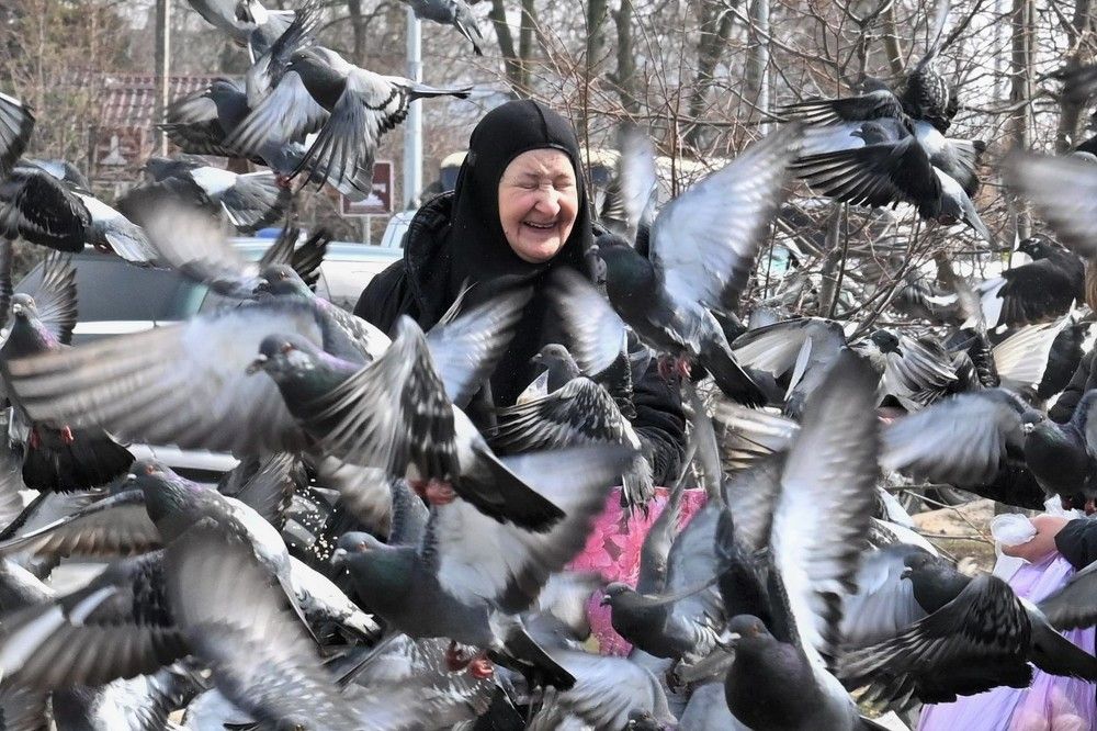 Фотография автора IRINA FILIPPOVA