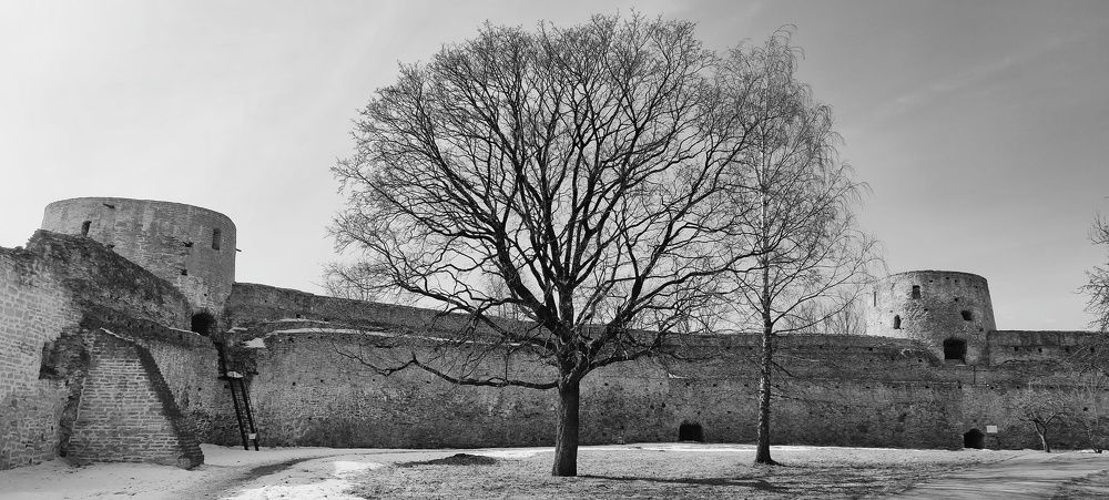 Photograph by Александр Жигульский