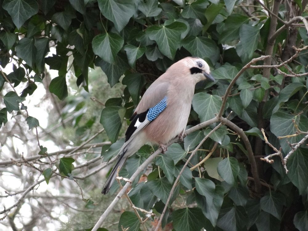 Photograph by Галина Сабитова