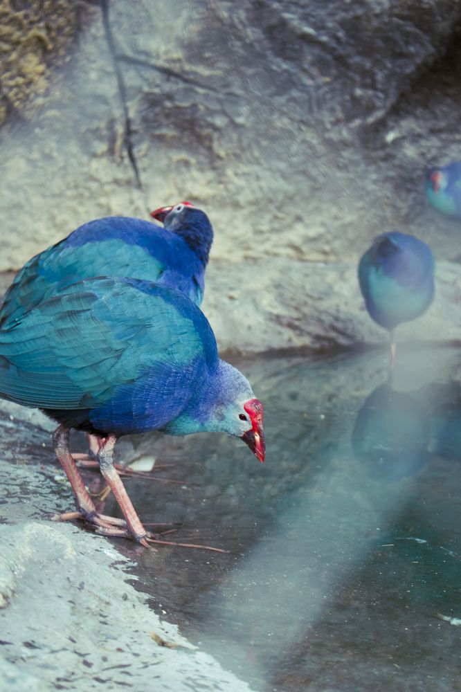 Photograph by Dale White