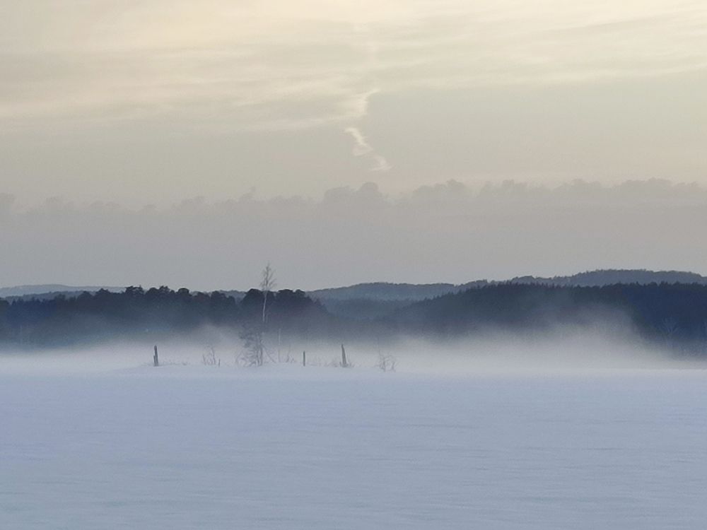 Photograph by Юлия Гинтер