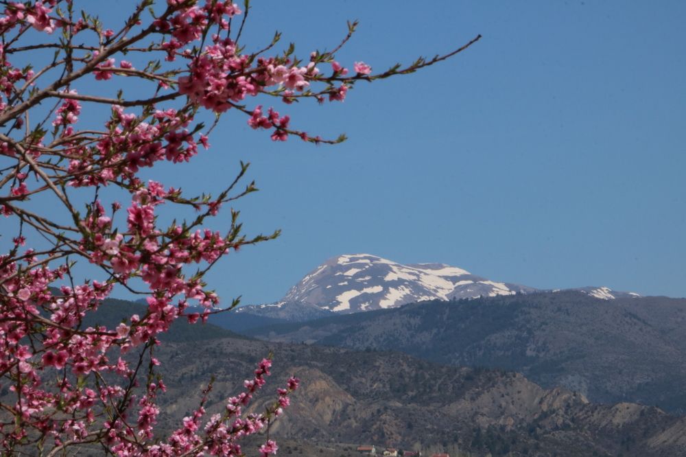 Photograph by Cengiz Yalcin