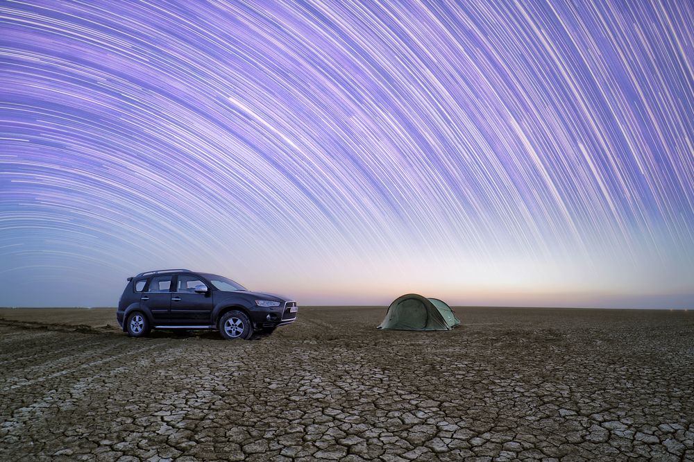 The companion since last 11 years