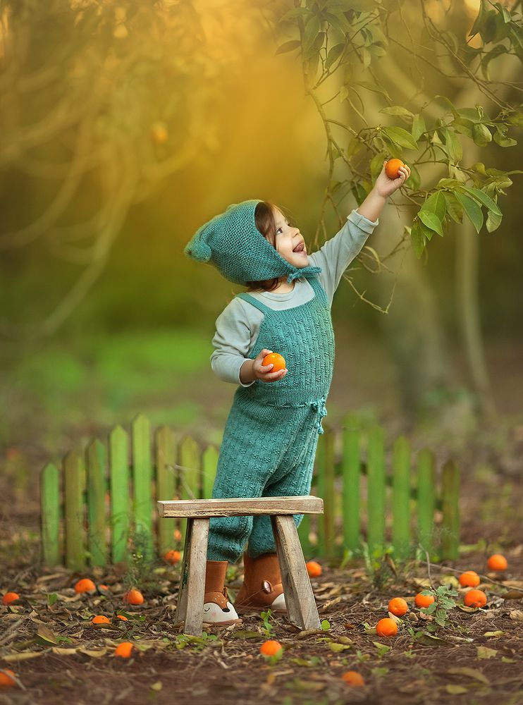 Фотография автора Limor David Samovich