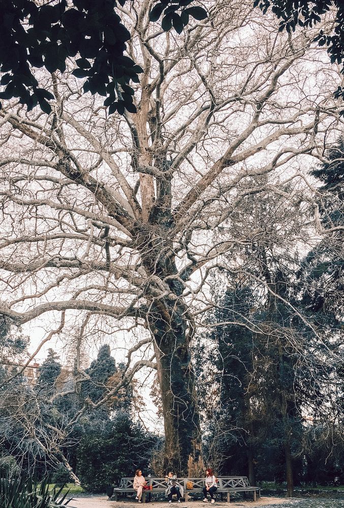 Встреча поколений