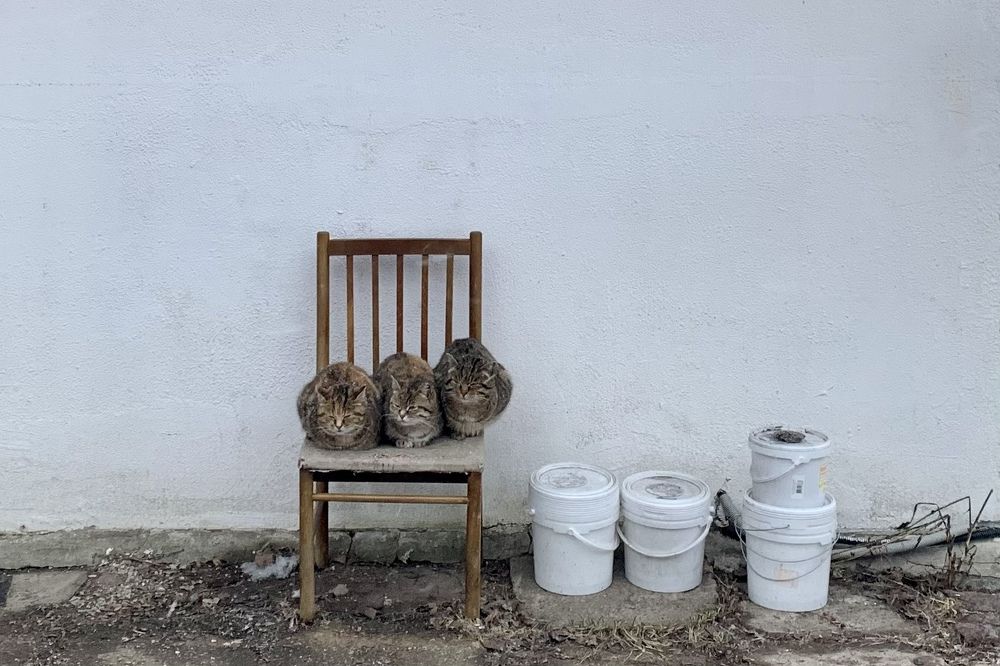 Photograph by Анна