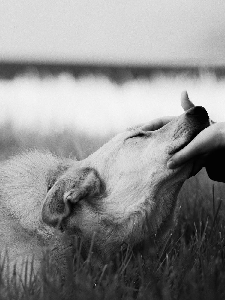 Photograph by Anastasia Peskova