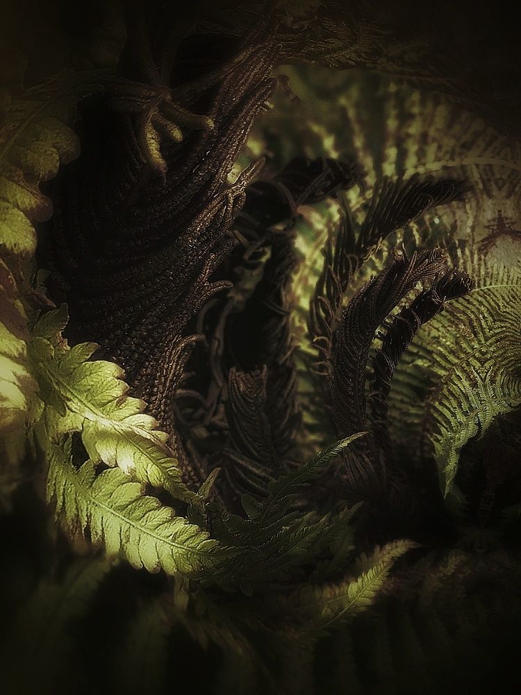 Photograph by Станислава