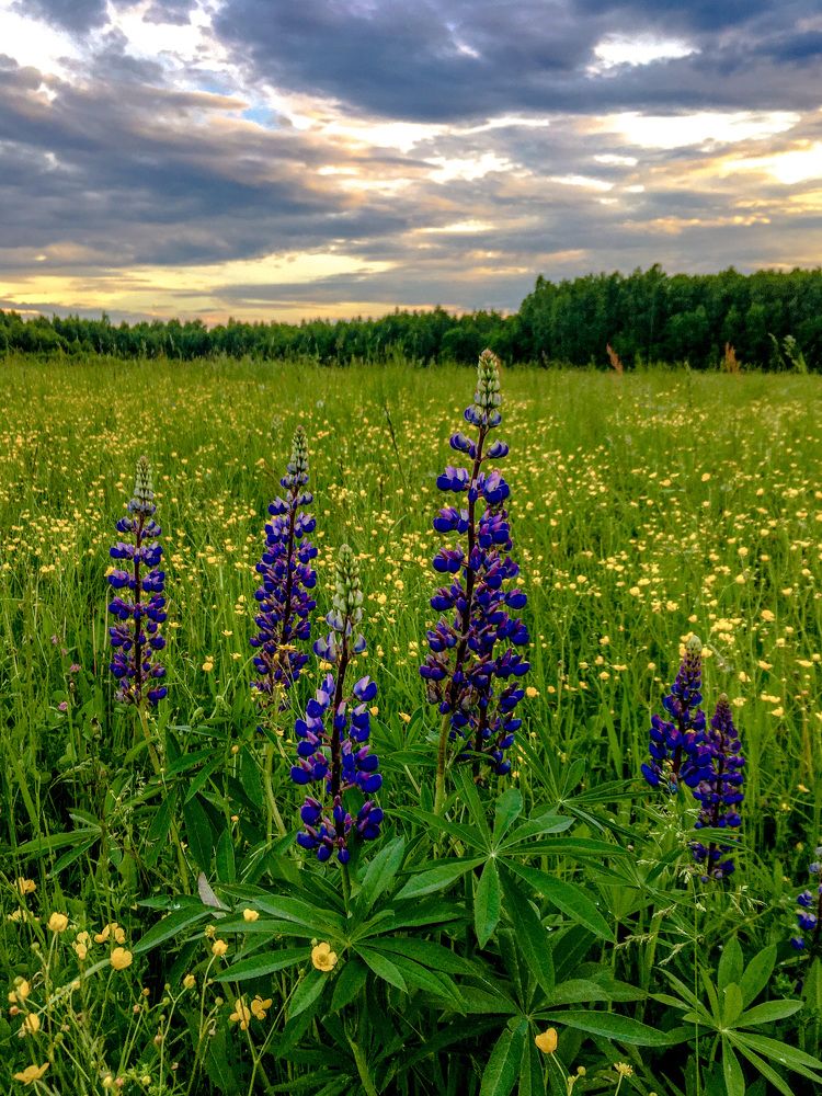 Photograph by Fлина