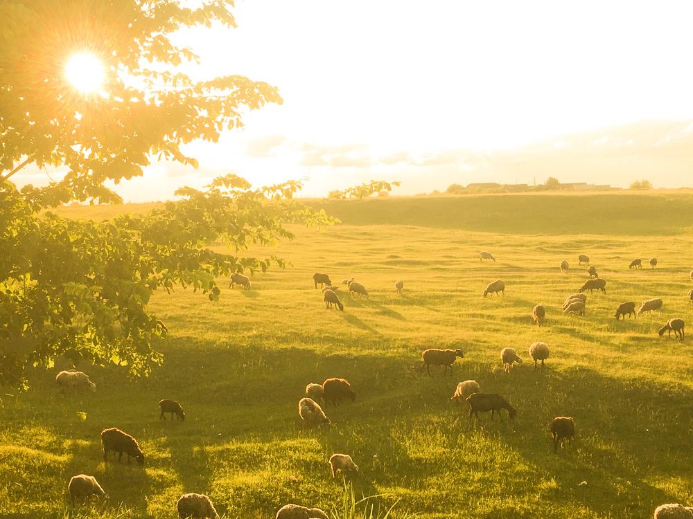 Photograph by Fлина