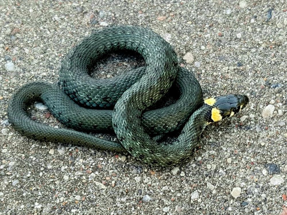 Photograph by Dmitrij Zykunov