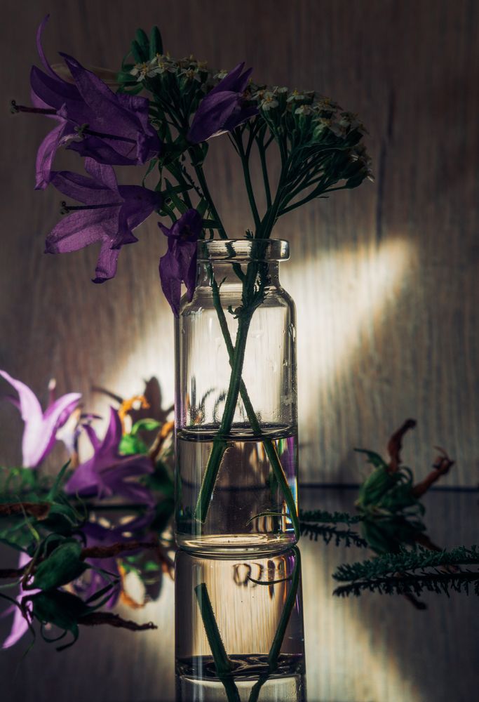 Колокольчики