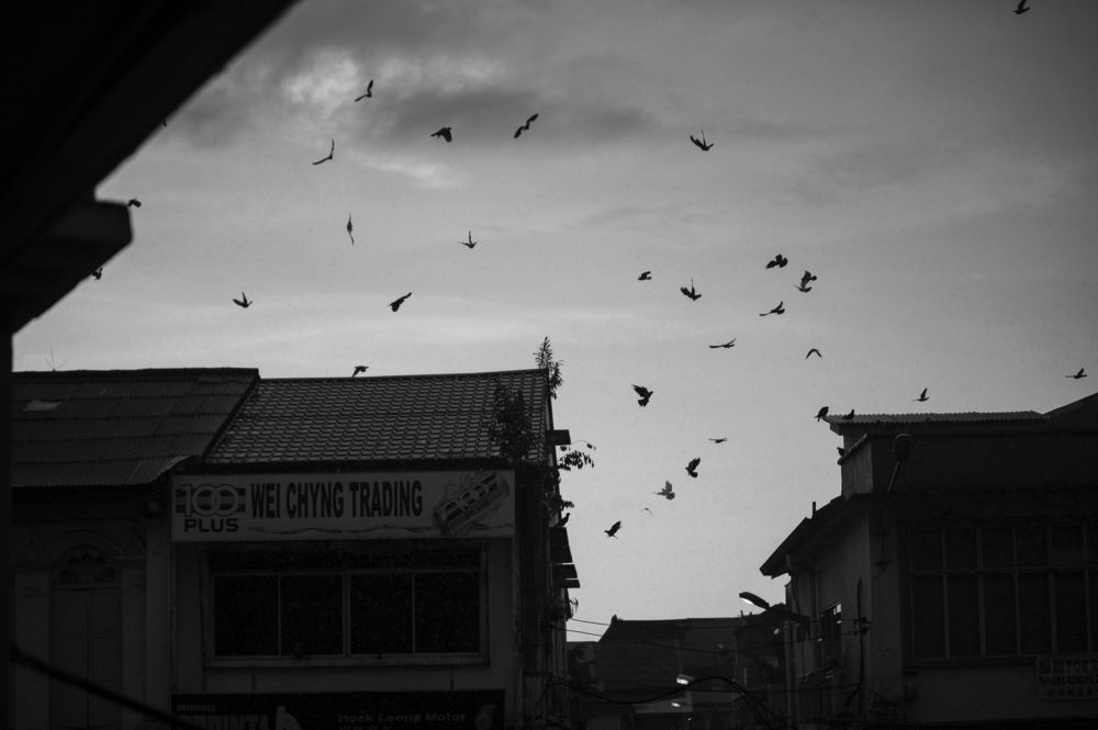 Photograph by Nunong Tindin