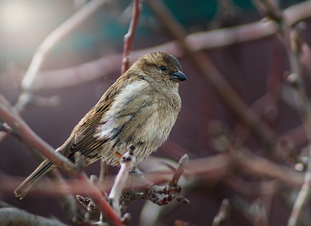 Photograph by Белан Олег