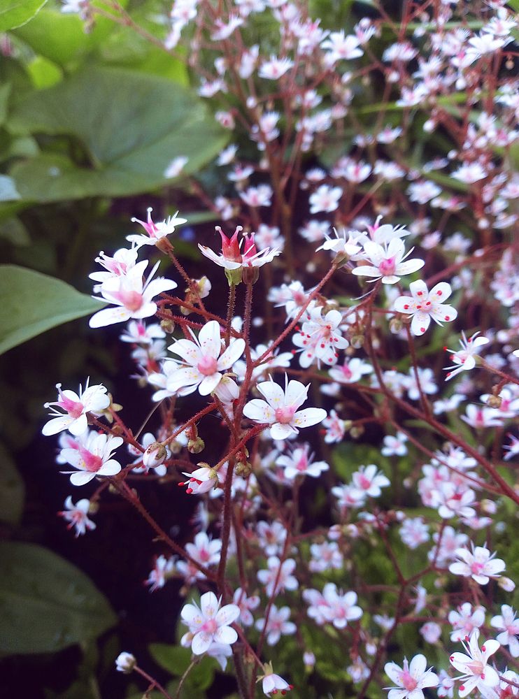 Photograph by Карина Полякова