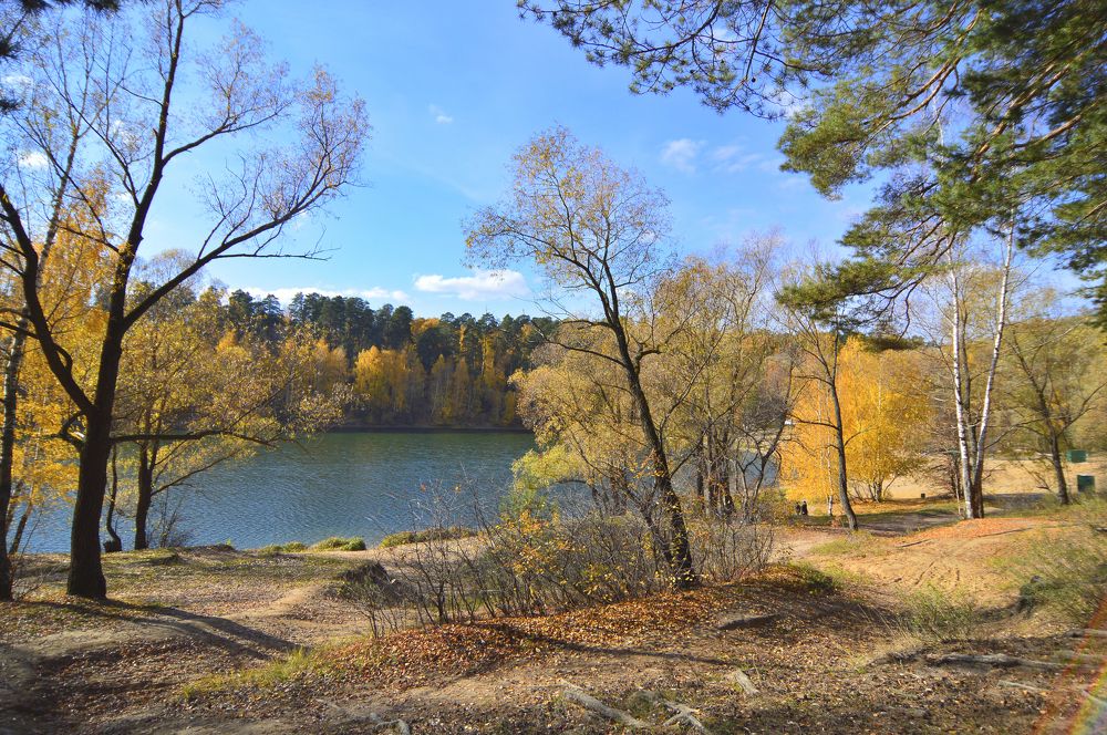 Фотография автора Клавдия Васильева