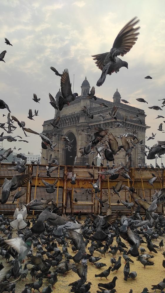 Фотография автора Venkatesh Rao