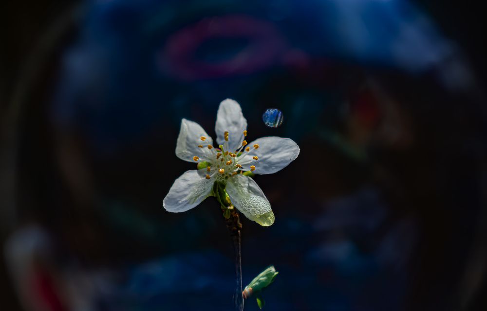 Мой сказочный мир.