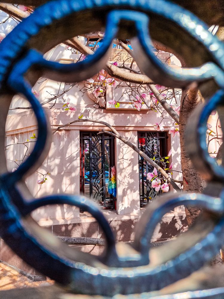 Spring in Bucharest!