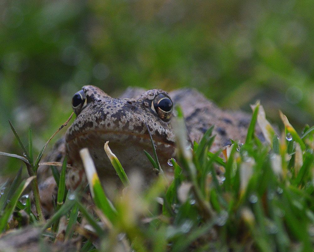 Прохладное утро.