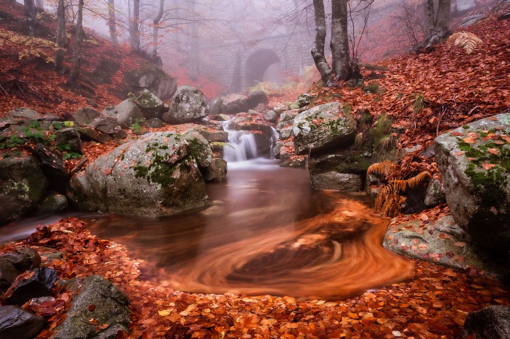 Photograph by Marc del Piro