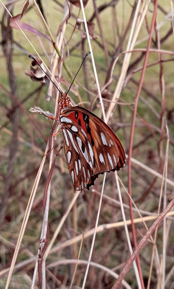 Photograph by Anamary Suarez Ortega