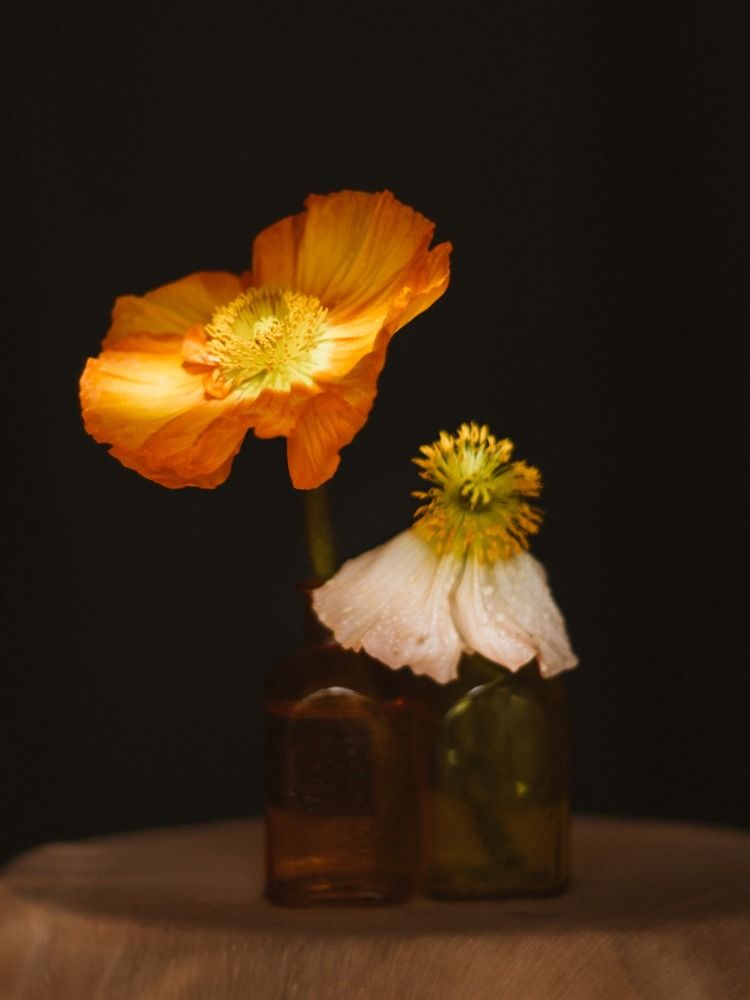 Photograph by Ксения Лаевская