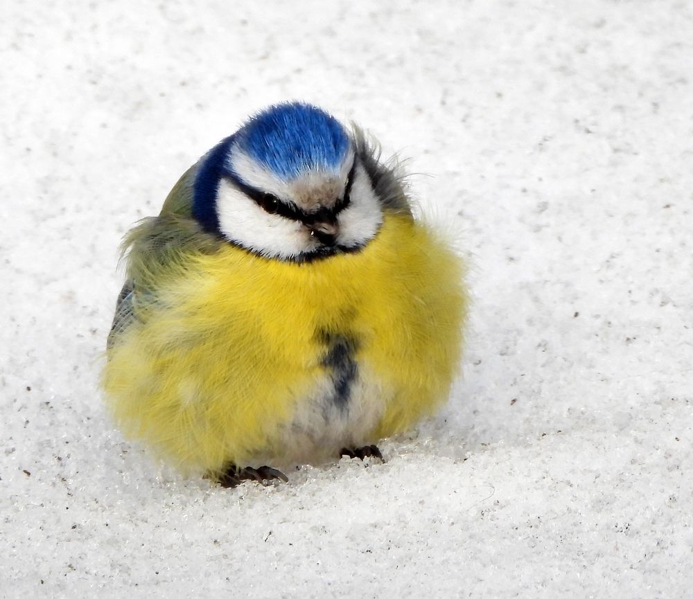 Photograph by Татьяна ТУРСКАЯ