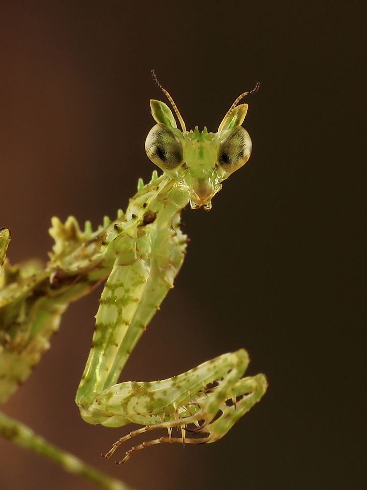 Photograph by Prabu Dennaga