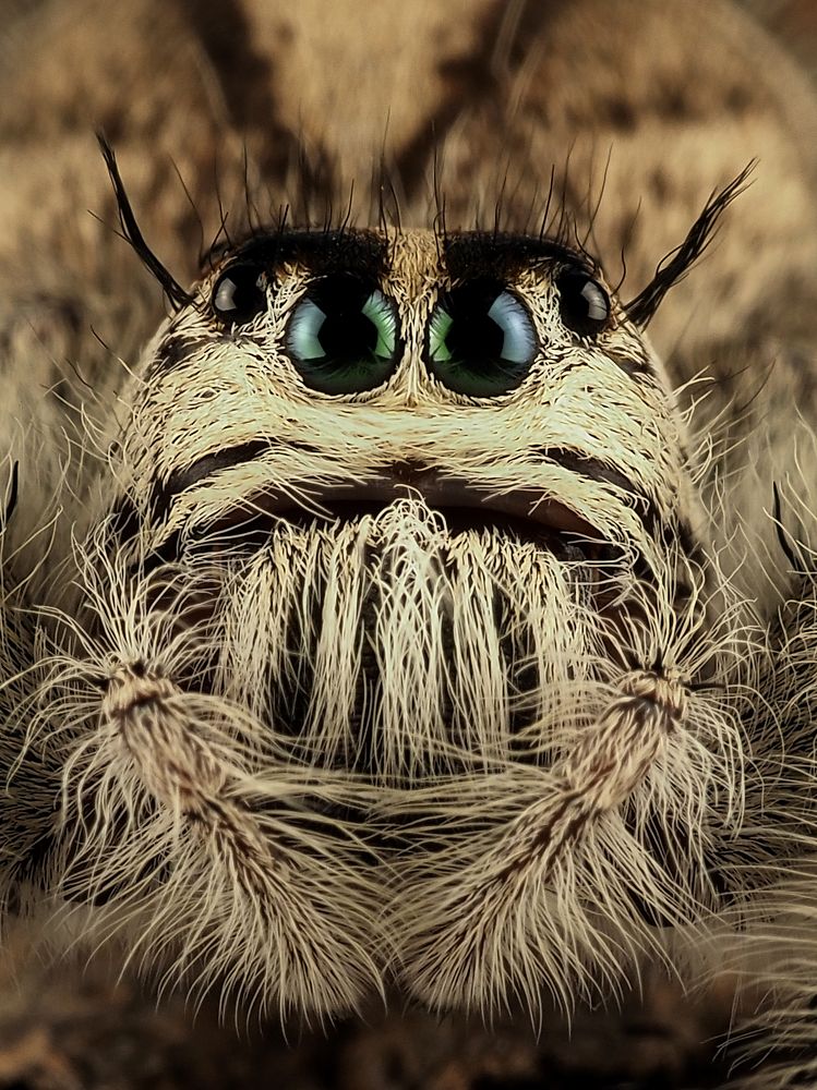 Photograph by Prabu Dennaga