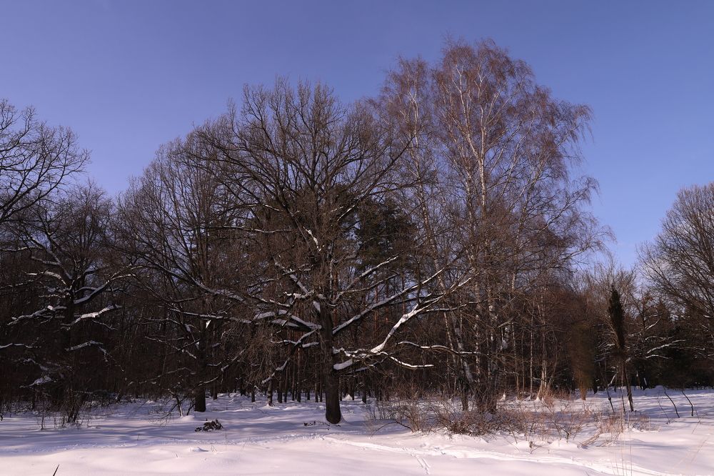 Photograph by Константин Лагоденко