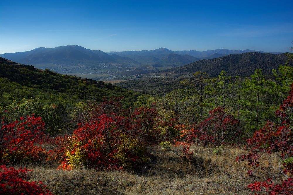Судакский лес.