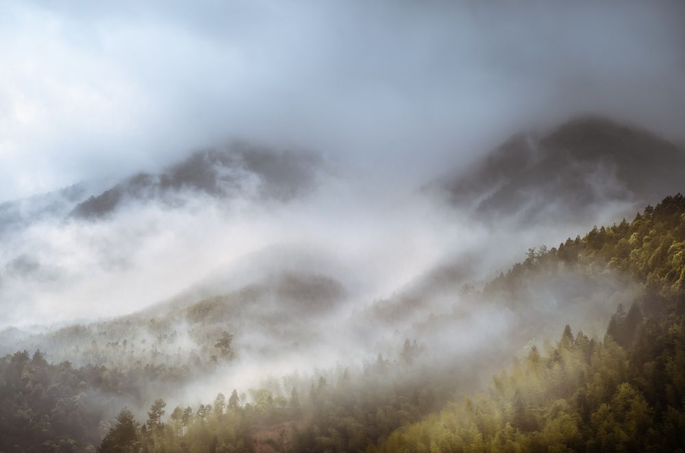 Photograph by Marc del Piro