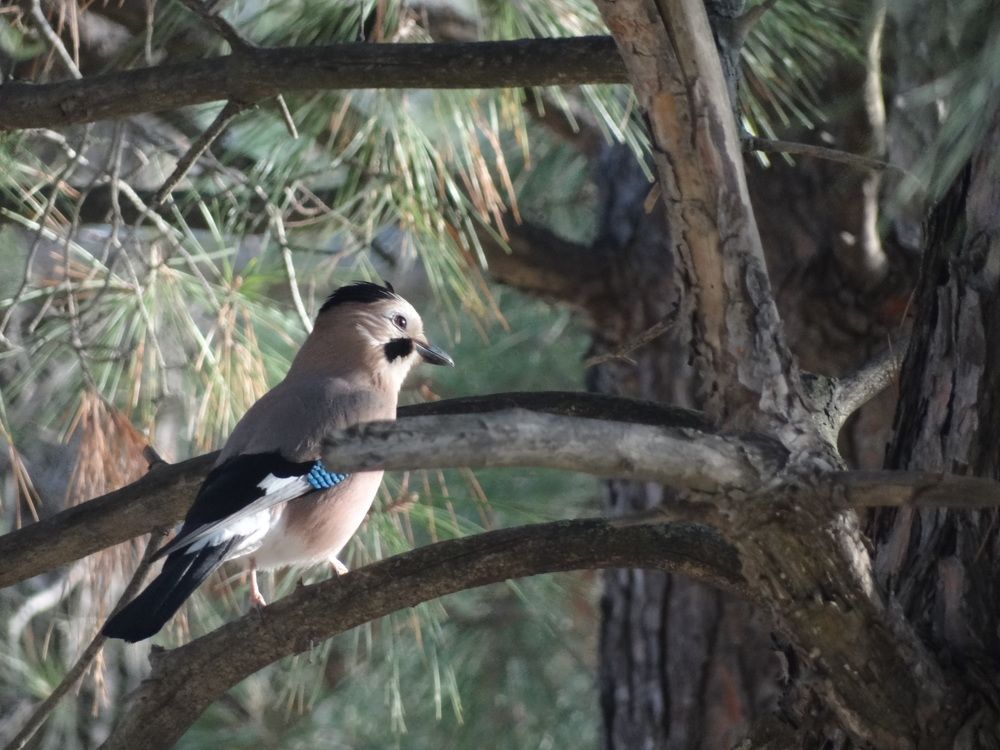 Photograph by Галина Сабитова