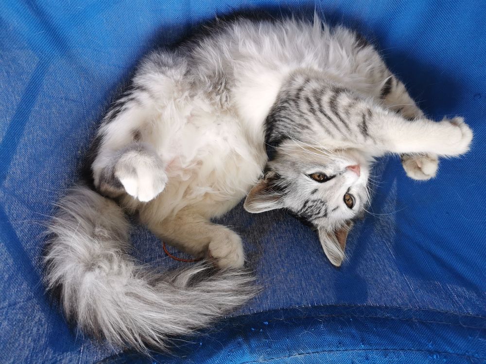 Photograph by Chunhou Poon