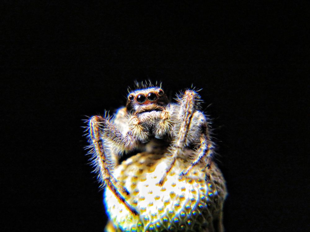 Фотография автора Mahdi Mohammadi