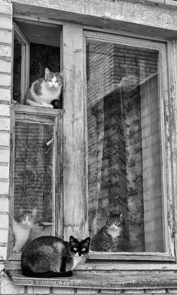 Фотография автора Олег Анатольевич Загорулько