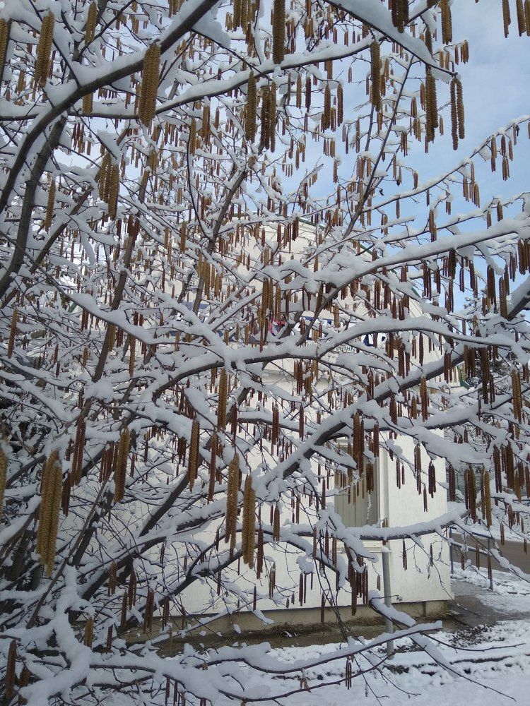 Ритмы холодного марта.