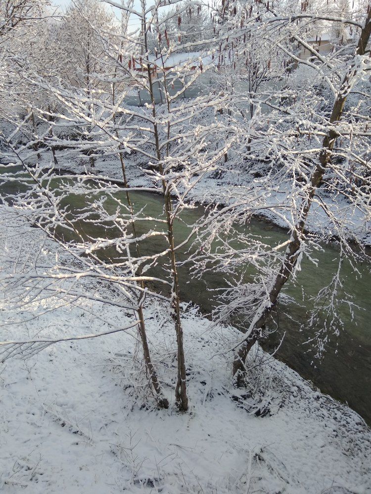 Photograph by Татьяна Ситникова