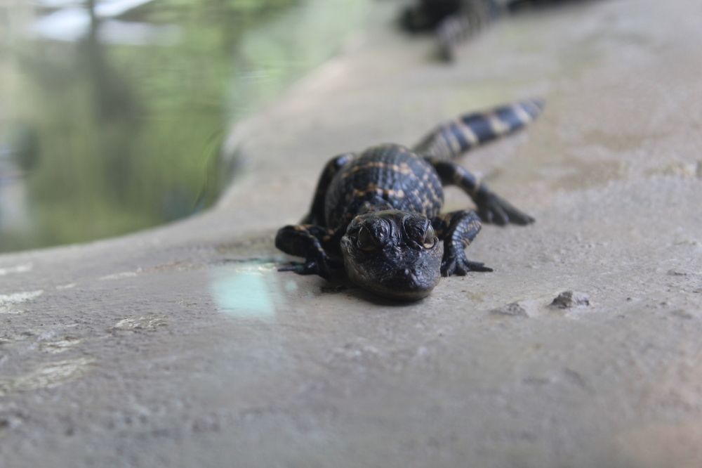 Photograph by Lyndsye