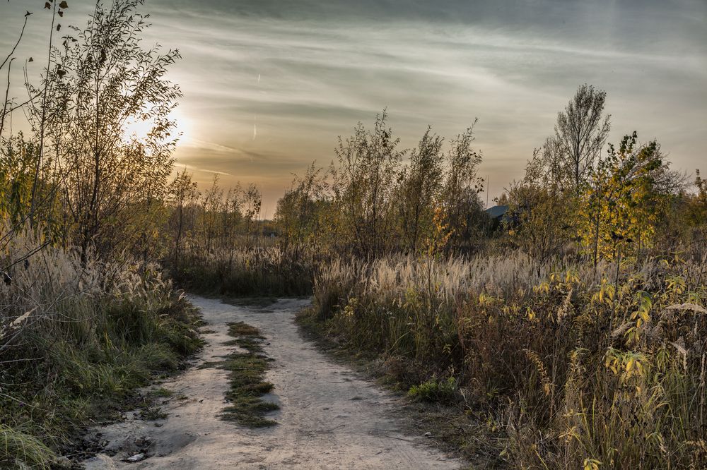 Photograph by Владимир Краков