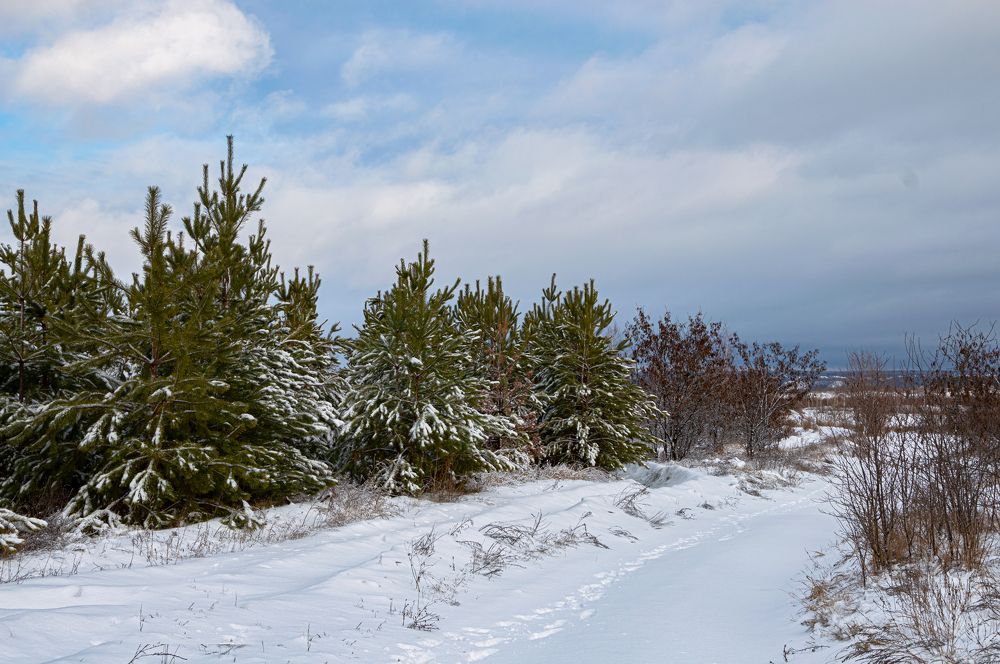 Photograph by Владимир Рябов