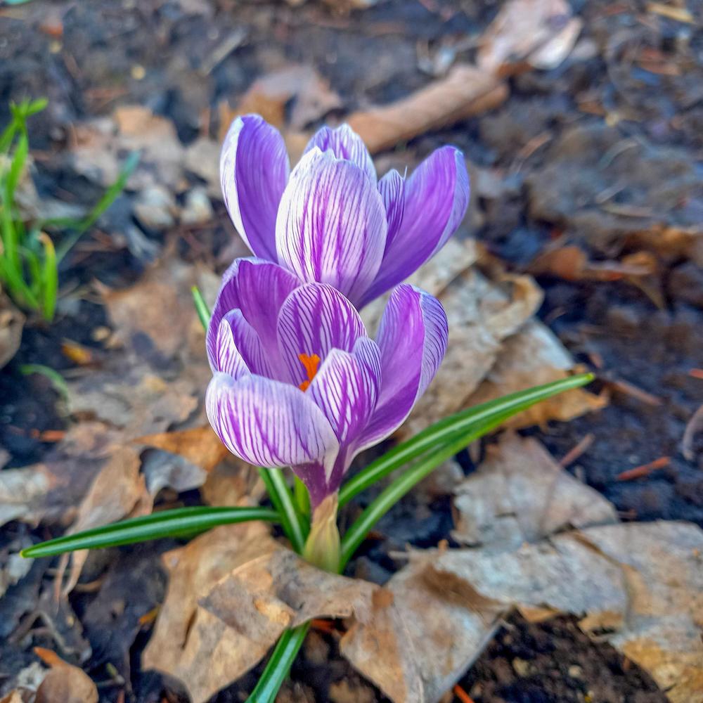 Photograph by Елена Шерман