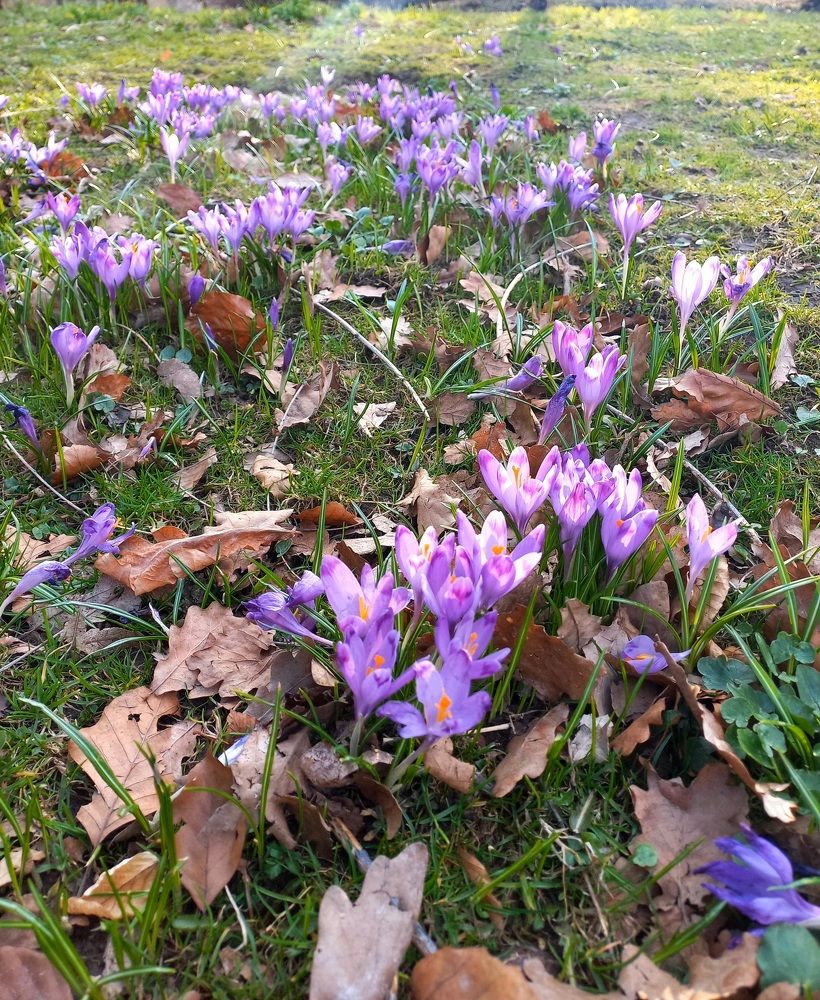 Photograph by Елена Шерман