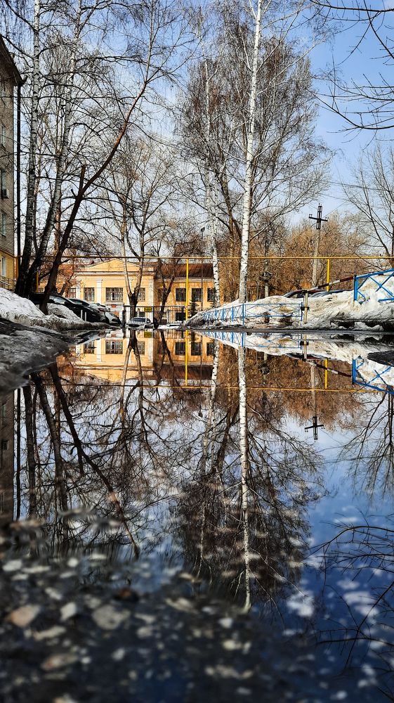 Фотография автора Дарина Фельдман