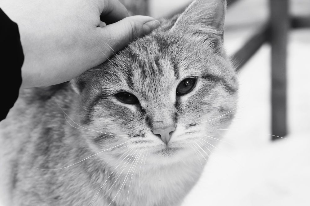 Photograph by Марина Кравцова