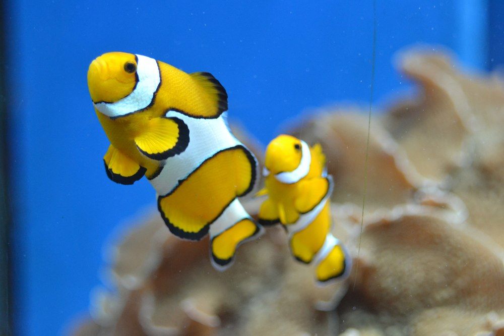 Photograph by Ольга