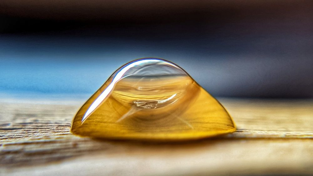 Photograph by Vijayakumar