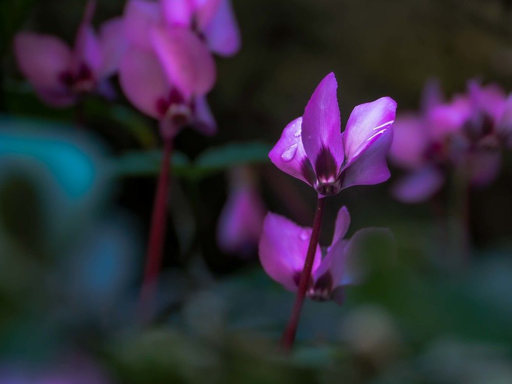 Photograph by mikhail goryachev