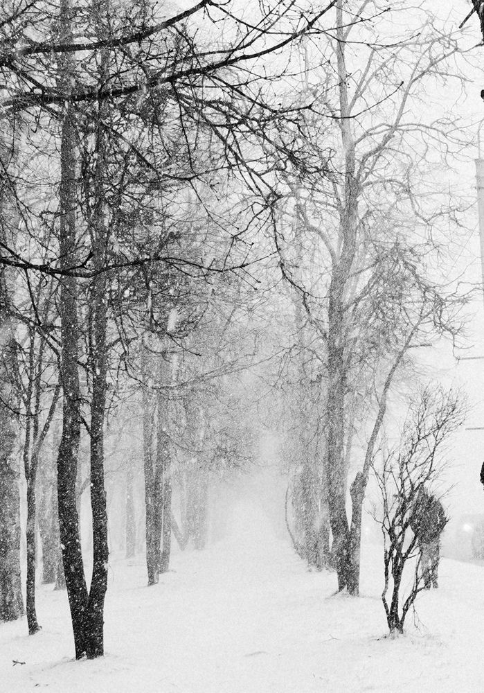 Апрельские метели